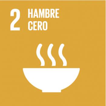 Objetivo 2 ODS: Poner fin al hambre, lograr la seguridad alimentaria y mejorar en temas de nutrición y la promoción de una agricultura sostenible